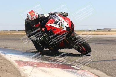 media/Aug-04-2024-TrackDaz (Sun) [[e1ff0814b6]]/Group A/1pm (Grapevine)/